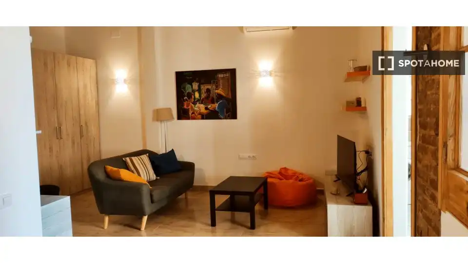 Sala d'estar de Estudi per a compartir en Sants - Montjuïc