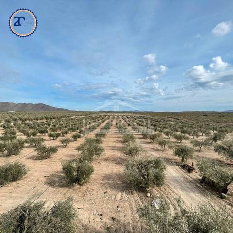 Terreno en Venta en Calle Monteagud, 3 en Uleila del Campo