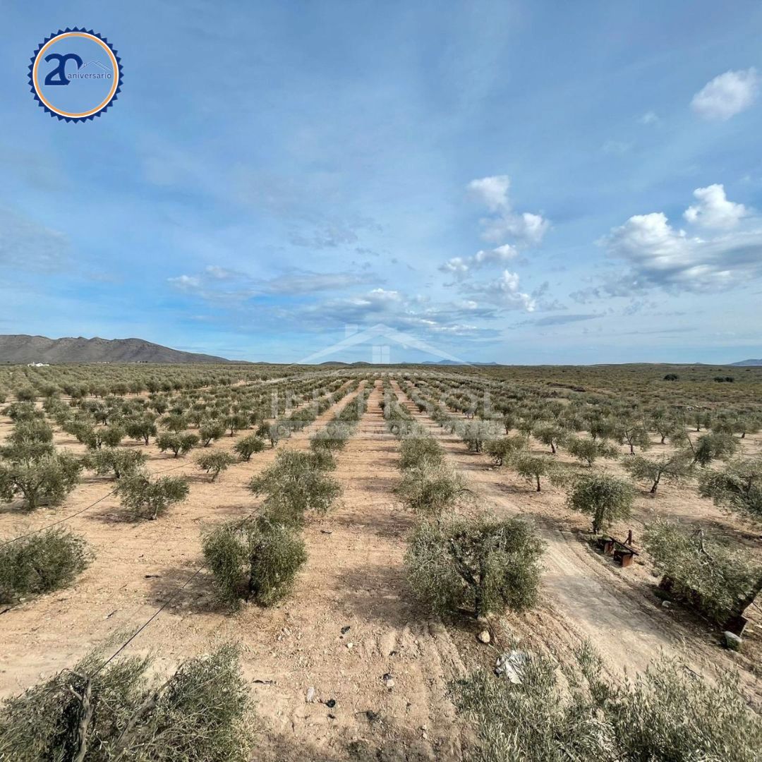 Land for sale in Uleila del Campo