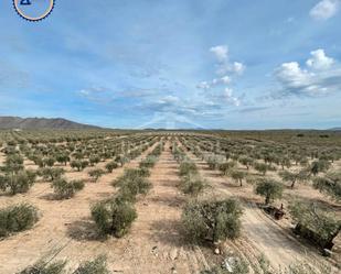 Land for sale in Uleila del Campo