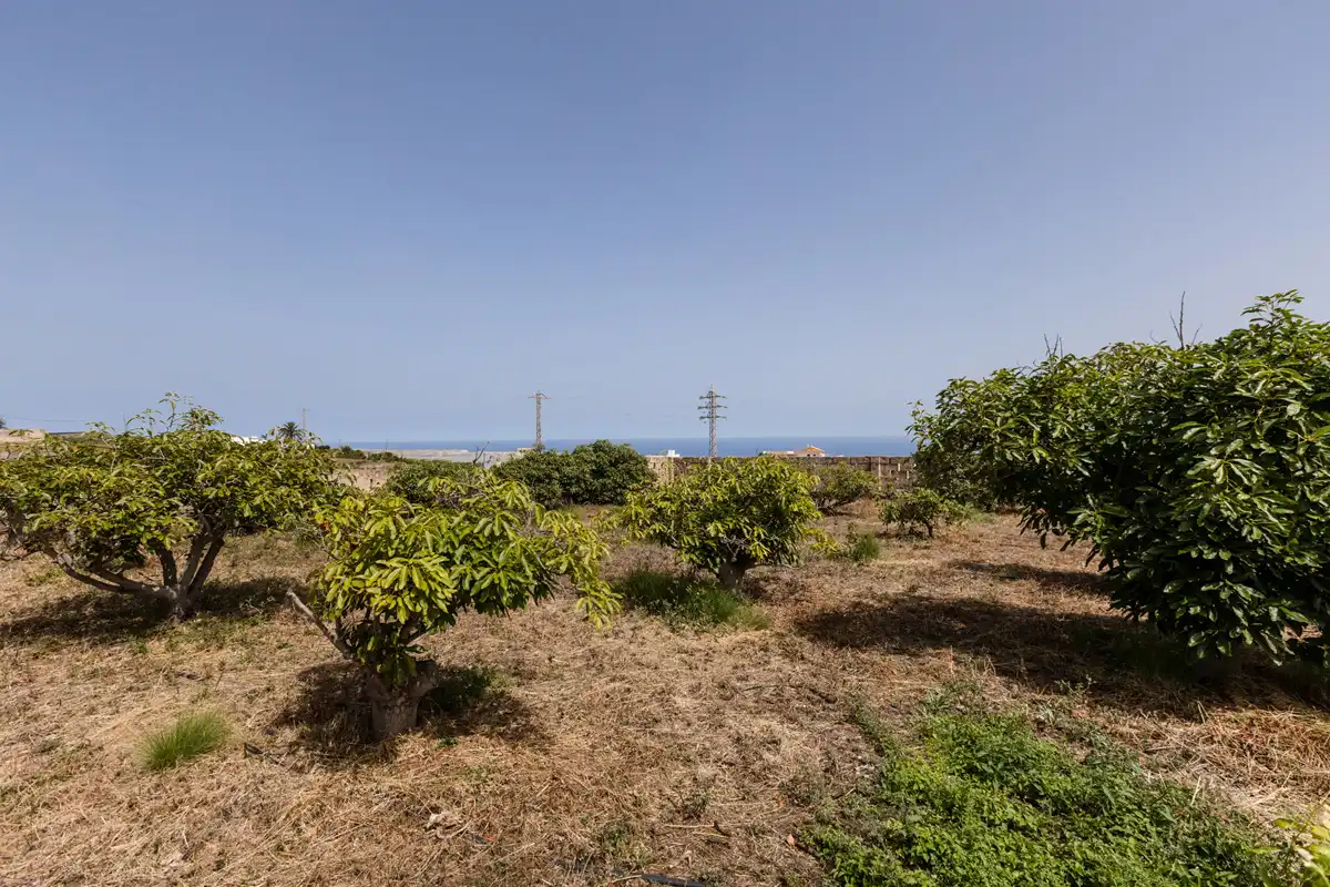 Country homes for sale in San Cristóbal de la Laguna  with Private garden, Terrace and Balcony