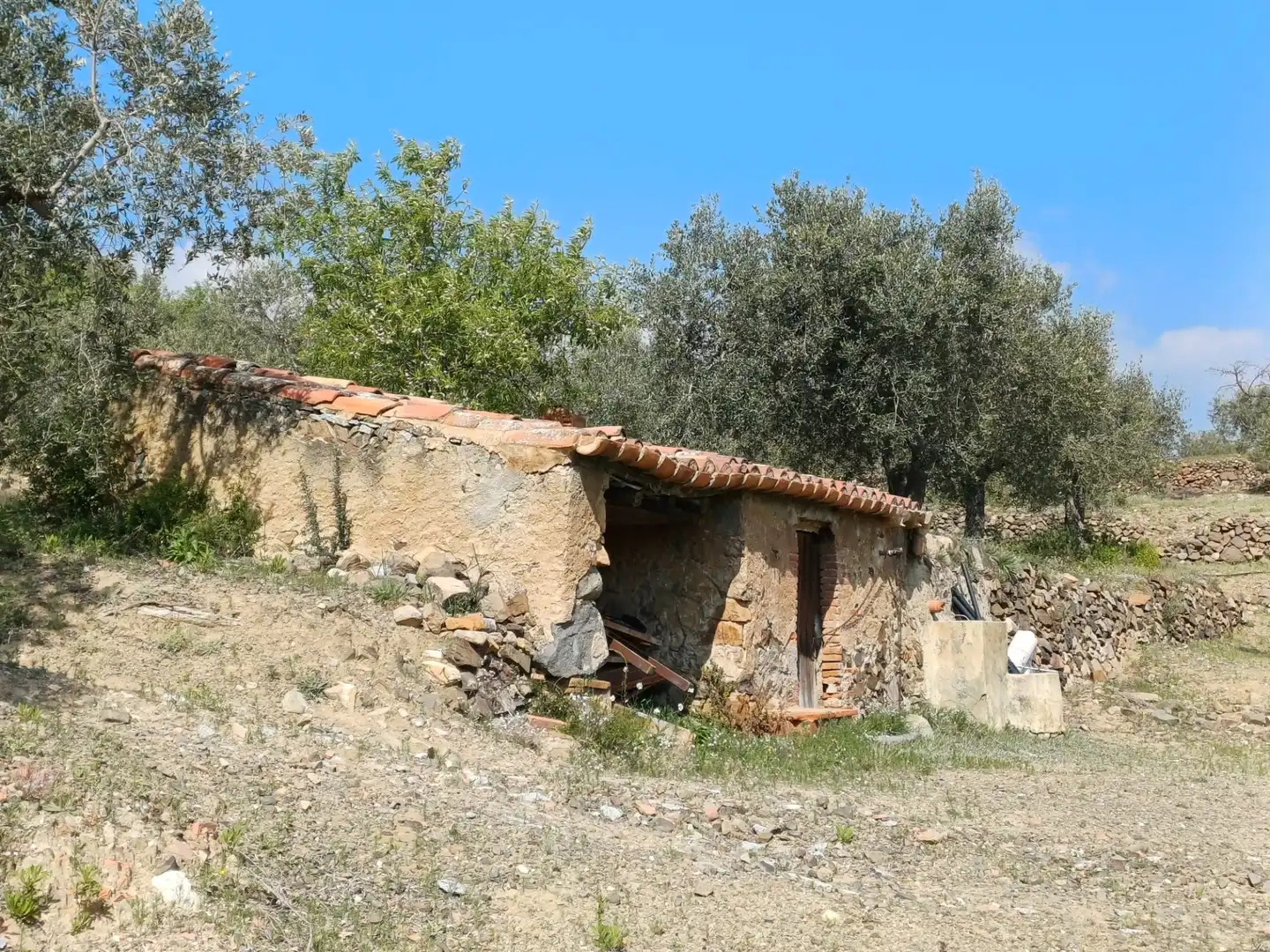 Terreno rustico in vendita a Riudecanyes, imagen 2