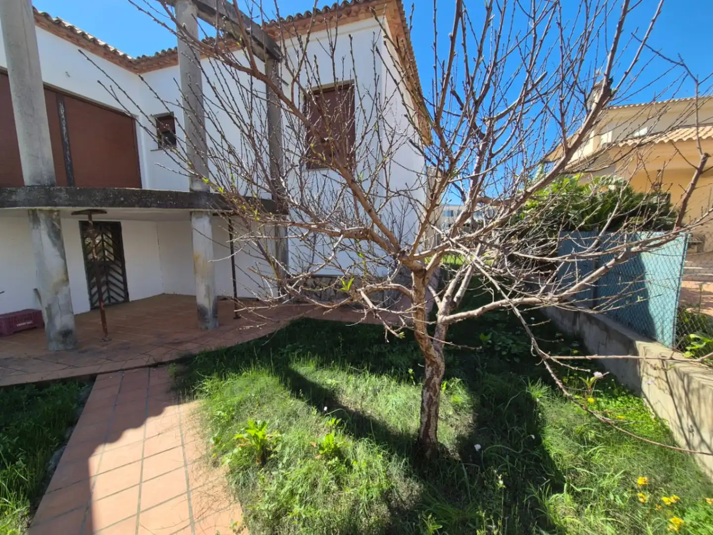 Jardí de Casa o xalet en venda en Oliva amb Jardí privat i Terrassa