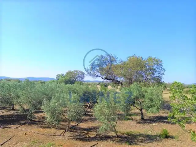 Rural land for sale in Fuente Obejuna, imagen 11
