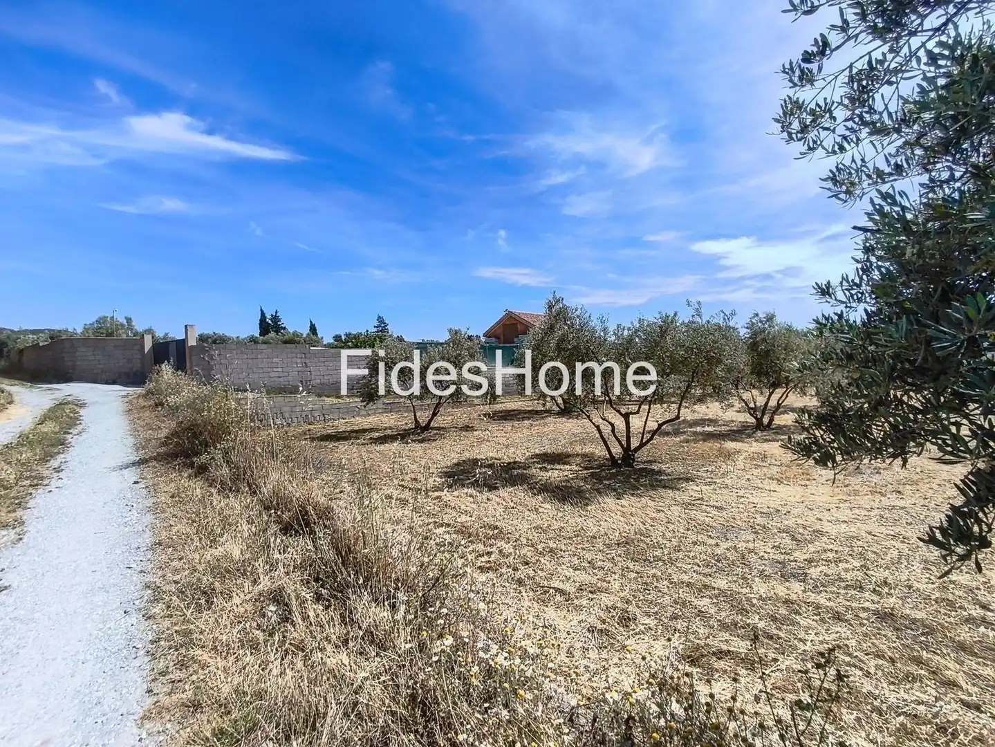 Rural land for sale in XFJ3+526 Nigüelas 0, imagen 6