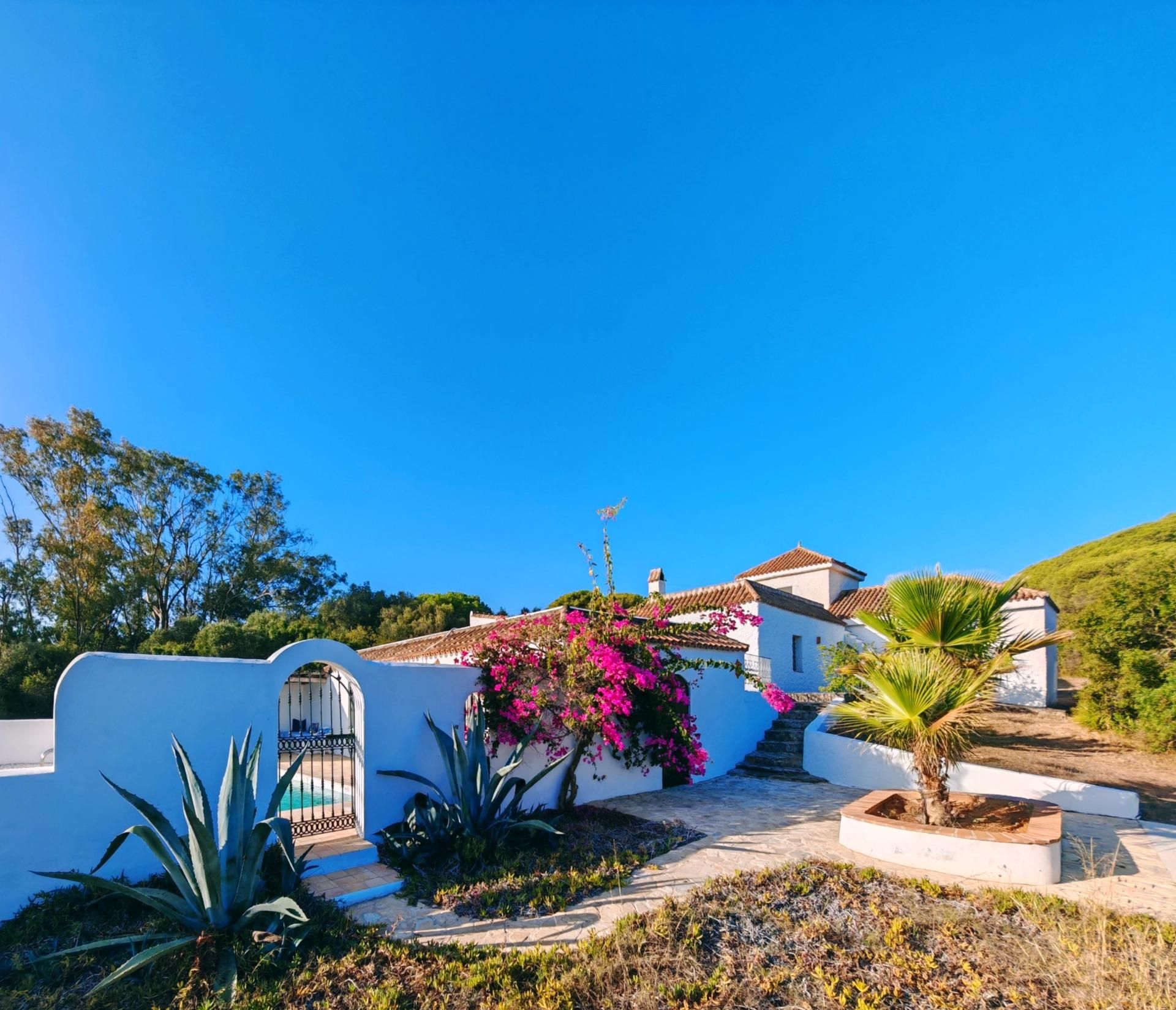 Exterior view of House or chalet for sale in Barbate  with Heating, Private garden and Swimming Pool