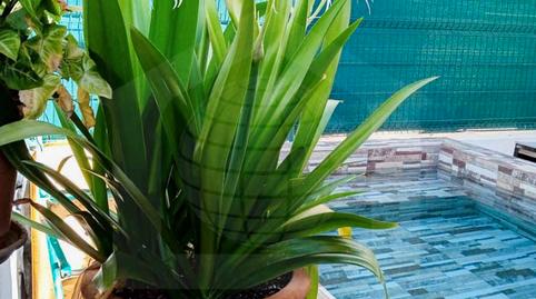 Photo 3 of House or chalet for sale in Calle Josefina Aldecoa, 20, Cártama, Málaga