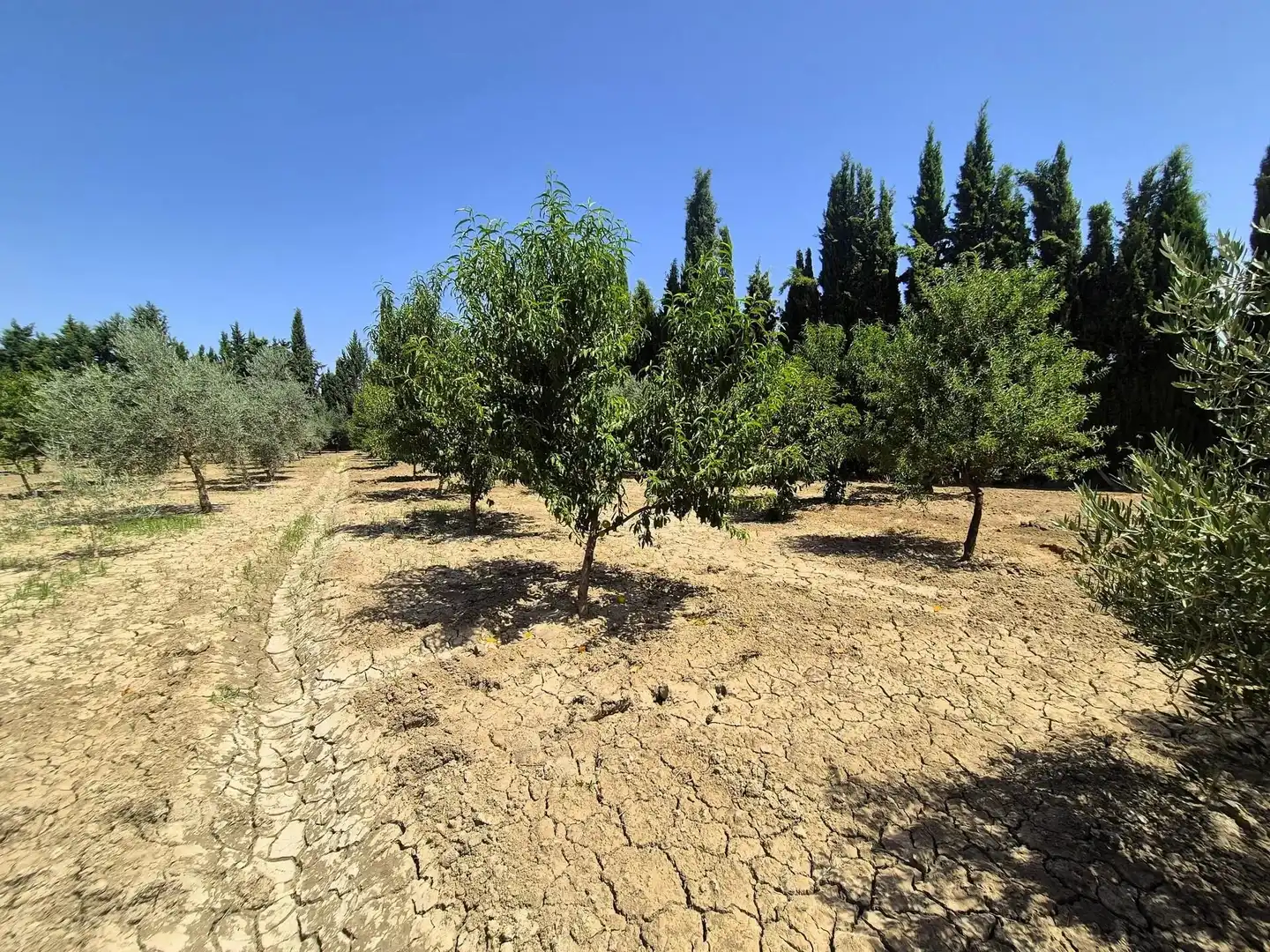 Rural land for sale in Huétor Tájar, imagen 17