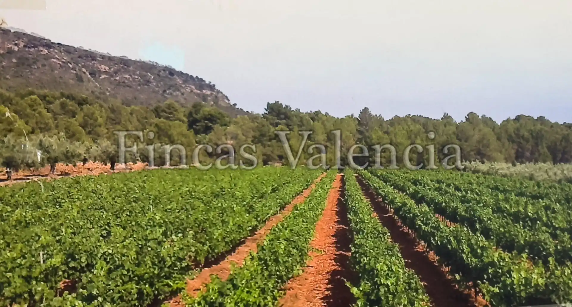 Country homes for sale in Calle SONEJA, Azuébar
