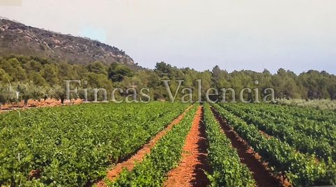 Foto 3 de Finca rústica en venda a Calle Soneja, Azuébar, Castellón