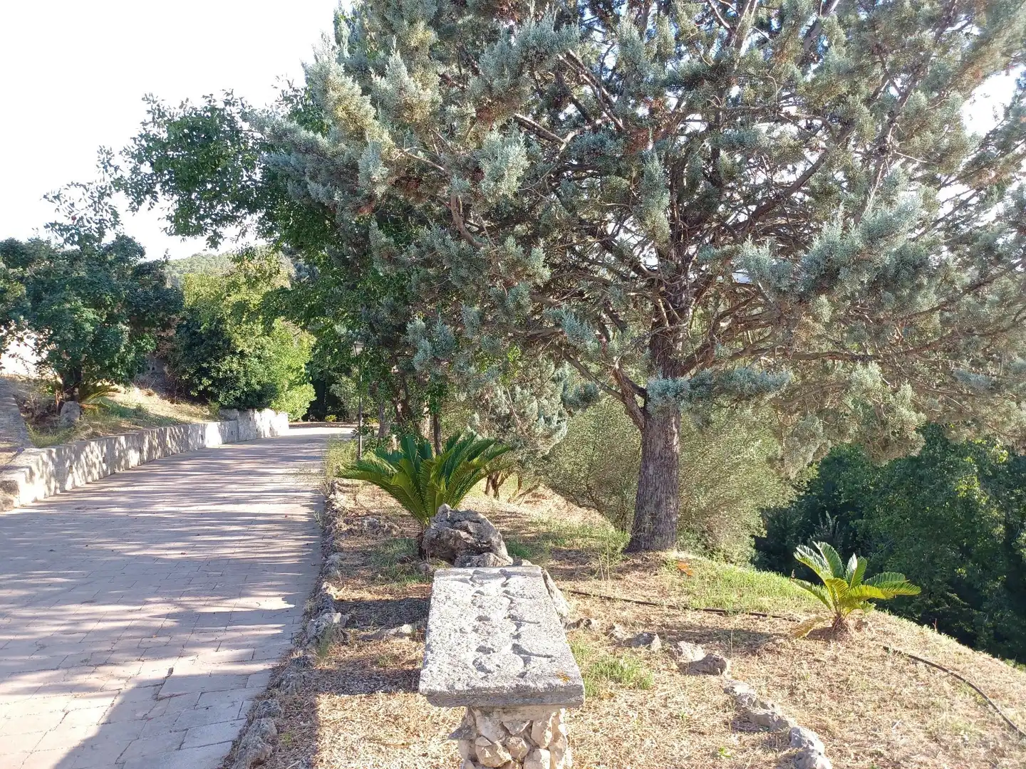 Exterior view of Houses for sale in Albaida  with Storage room and Swimming Pool