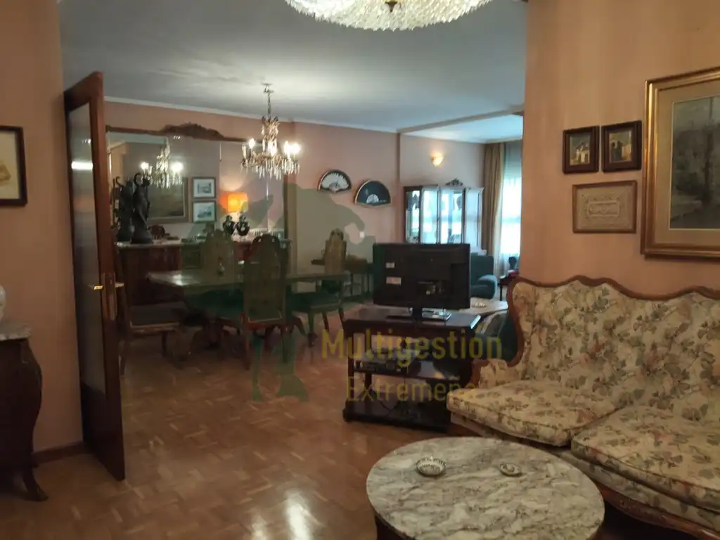 Sala d'estar de Pis en venda en Cáceres