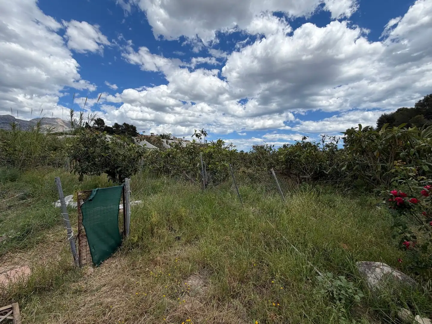 Finca rústica en venda en La Nucia amb Traster
