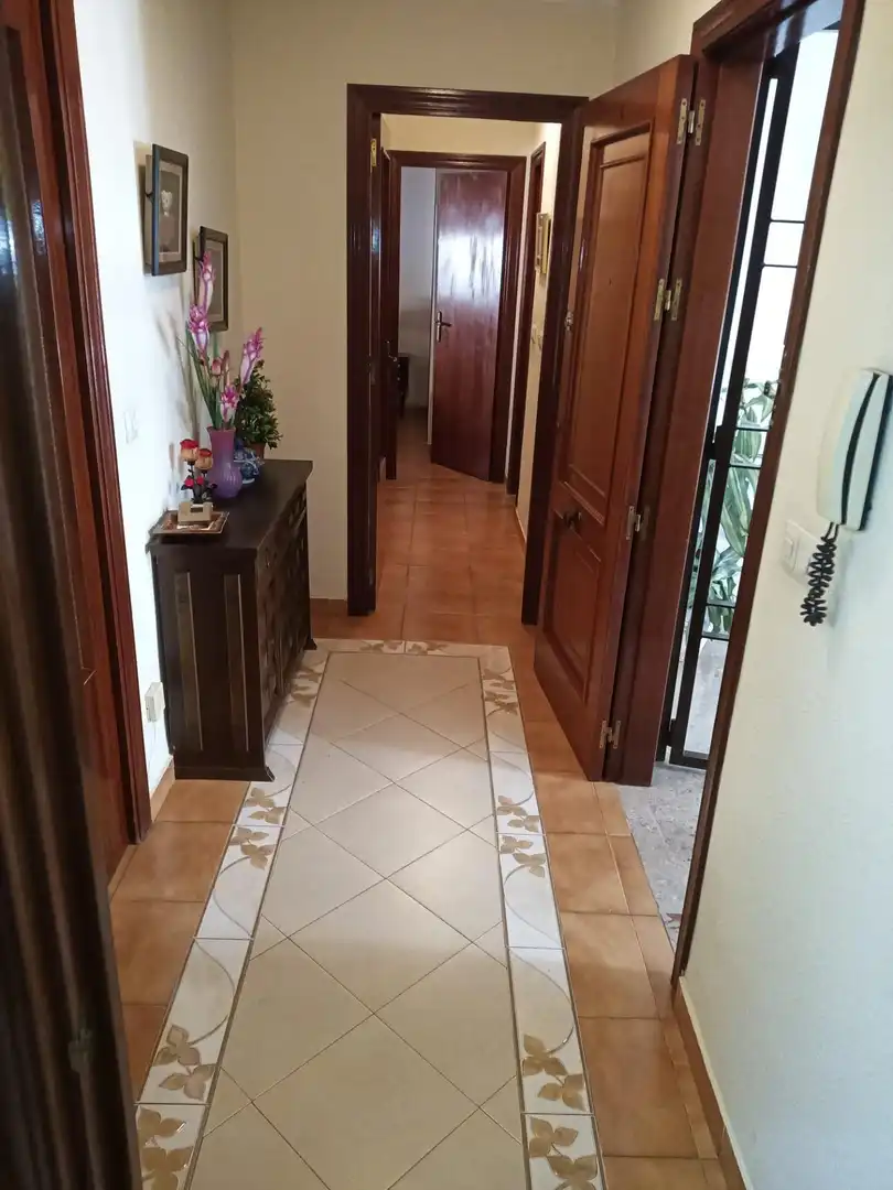 Appartamento con terrazza in vendita a Centro, imagen 5