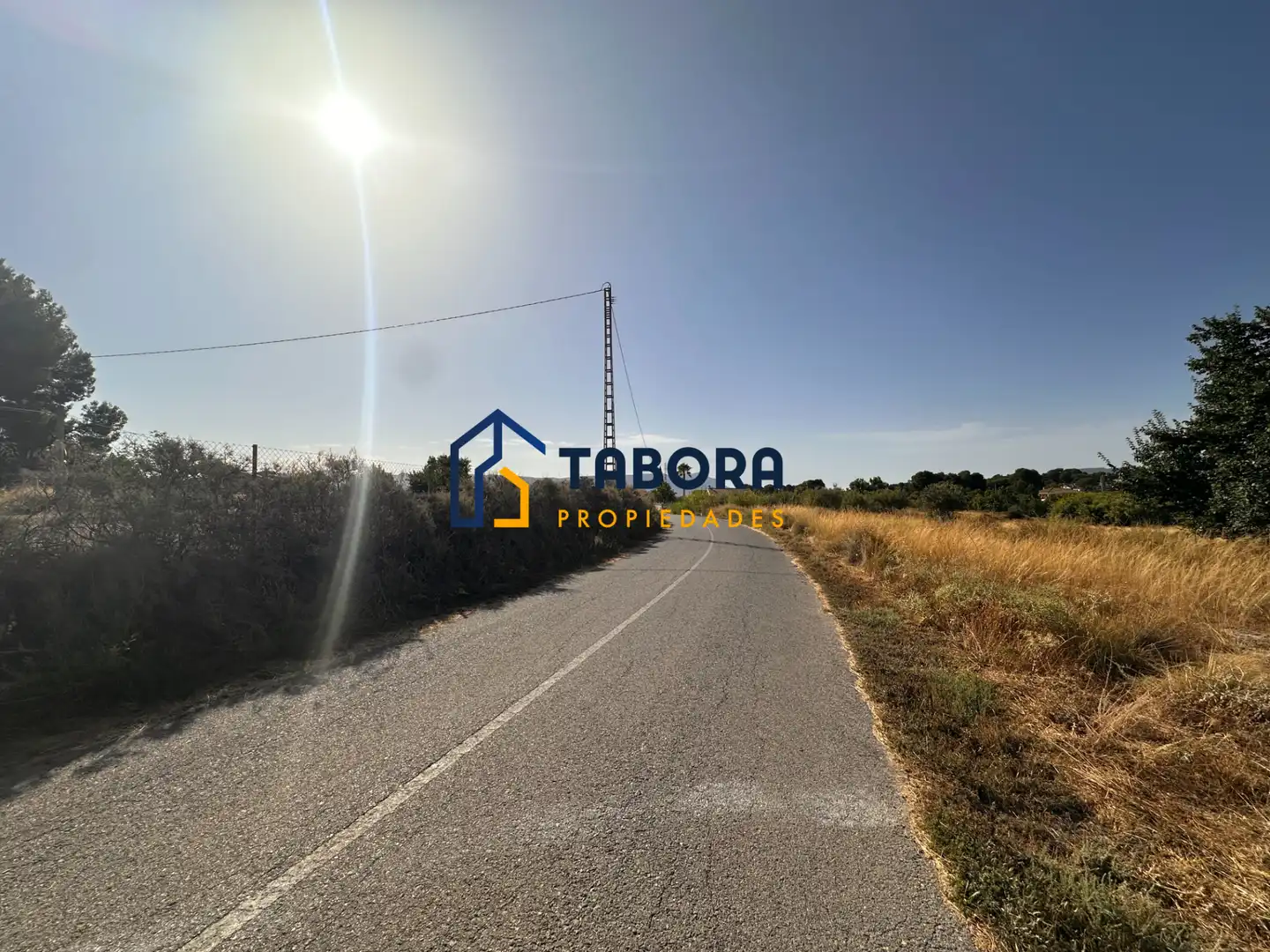 Terreny rústic en venda a Avinguda de la Constitució 8, imagen 4