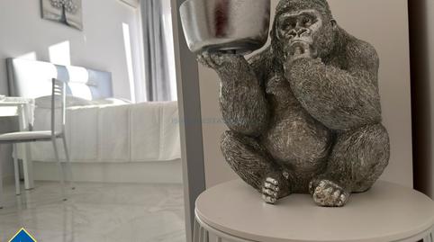 Photo 4 of Study for sale in Zona Playa de los Locos, Torrevieja