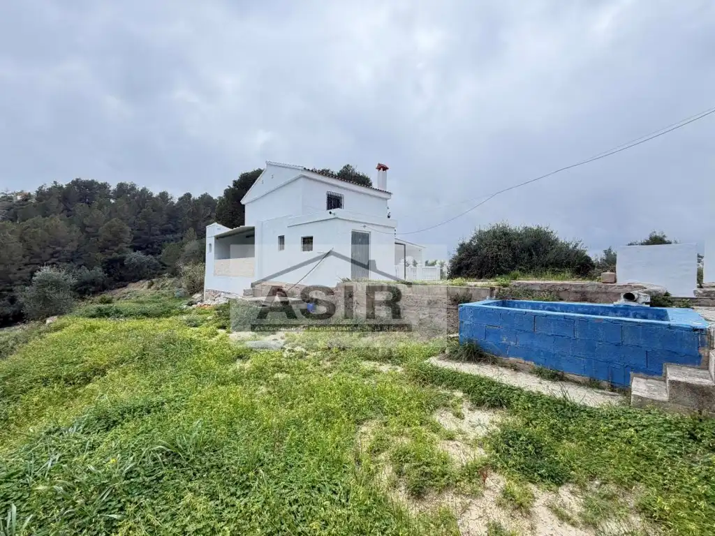 Exterior view of Houses for sale in Alzira