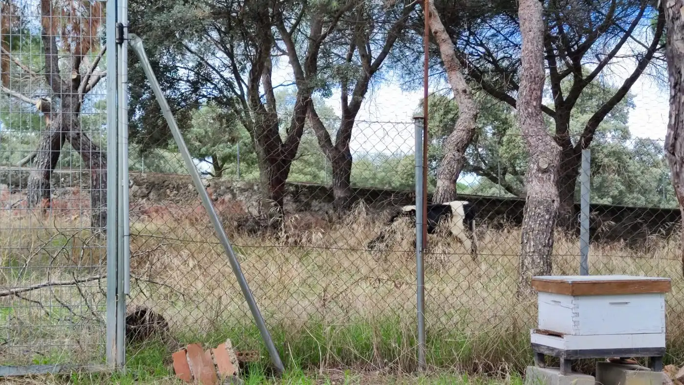 Finca rústica en venta en Galapagar con Piscina