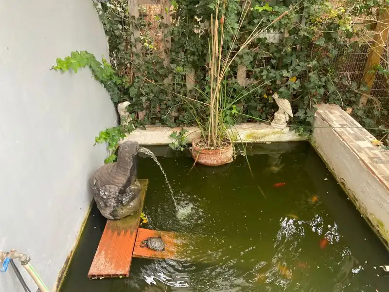 Casa o xalet en venda a Valle San Lorenzo