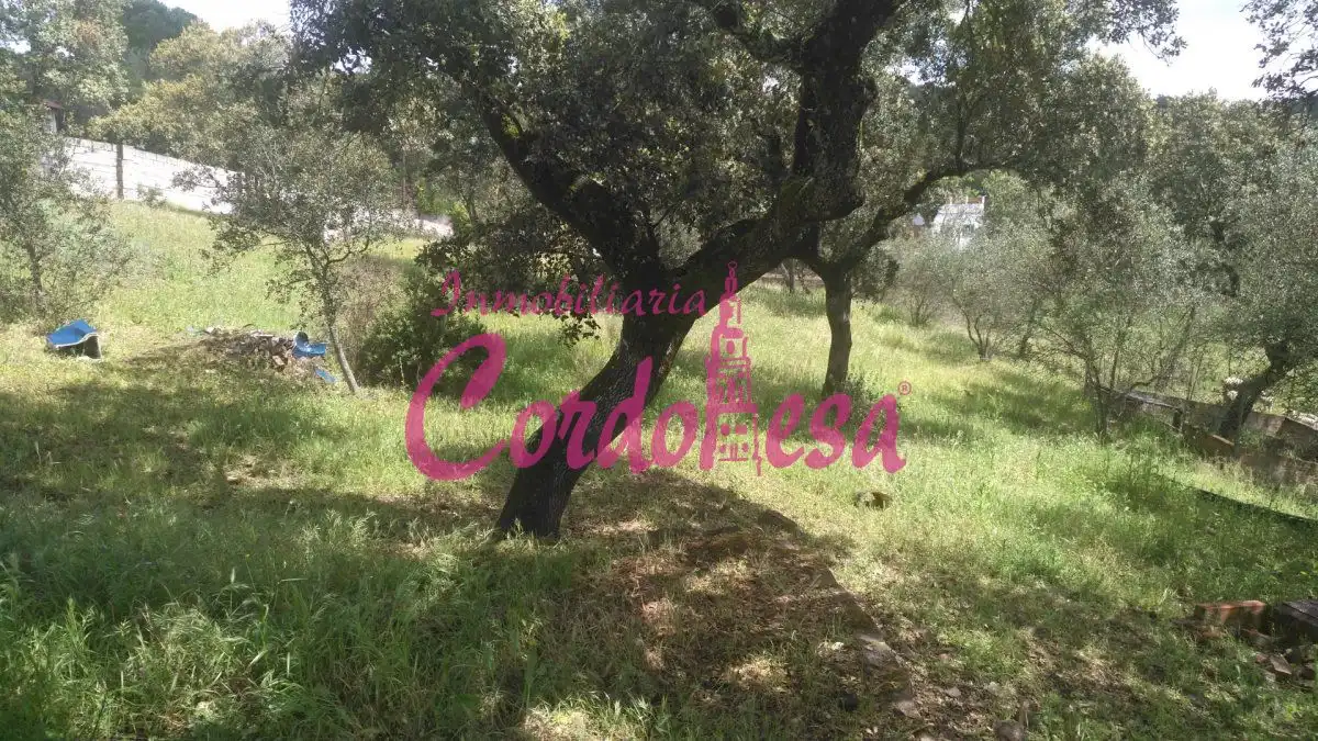 Country homes for sale in Obejo  with Swimming Pool
