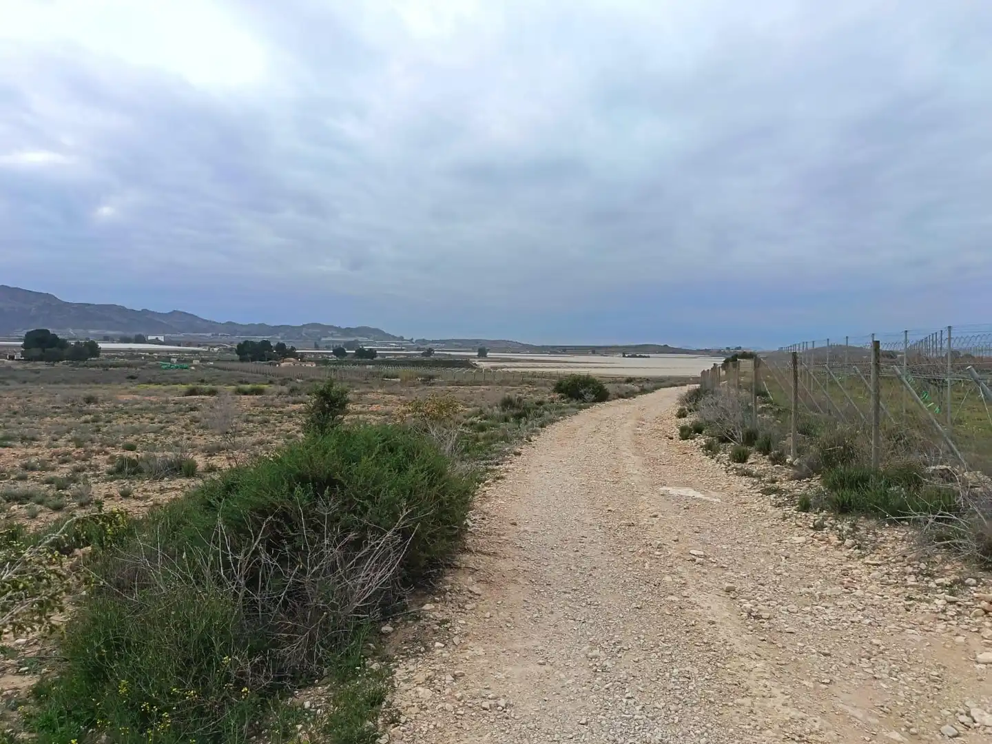 Terreno residencial en venta en Monforte del Cid, imagen 8