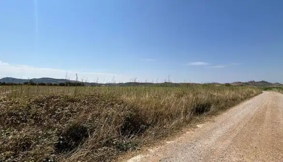 Rural land for sale in Polígono  Saratsua  polígono, imagen 4