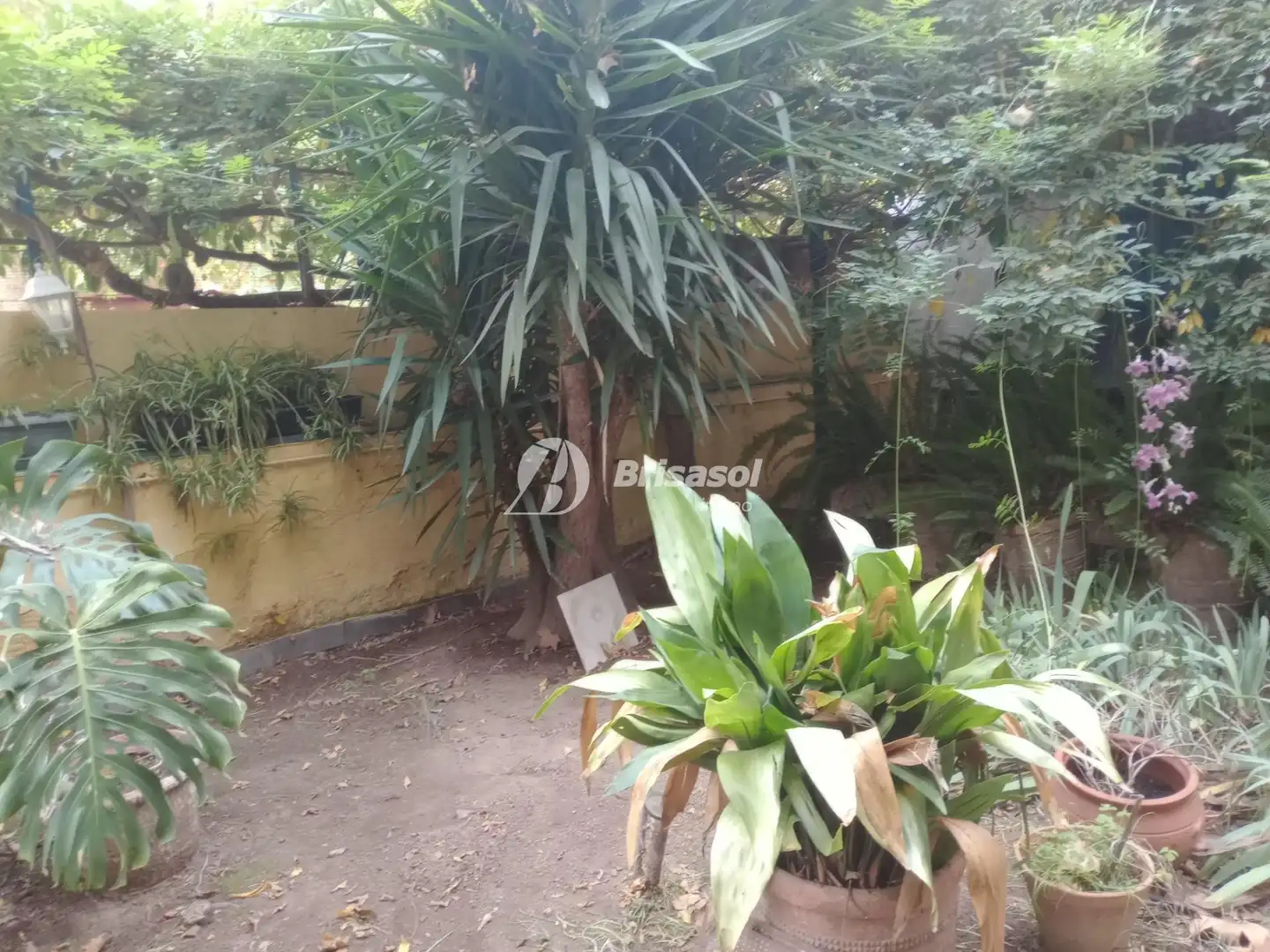 Casa o xalet en venda en Montbrió del Camp amb Jardí privat, Traster i Balcó