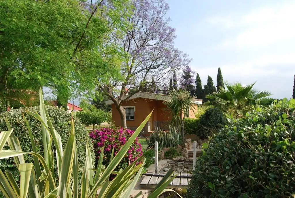 Jardí de Casa o xalet en venda en Alhaurín de la Torre amb Aire condicionat, Jardí privat i Terrassa