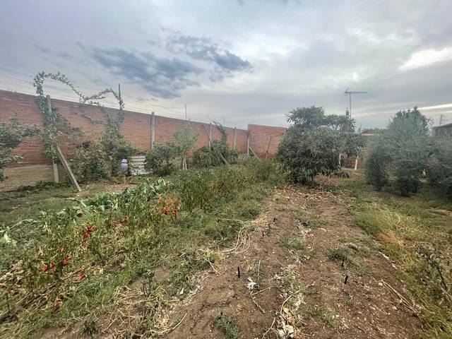 Terreno en Venta en Calle Gregorio de Salas, 15 en Almendralejo
