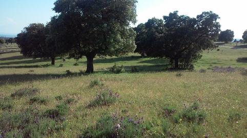 Photo 2 of Country house for sale in San Román de los Montes, Toledo