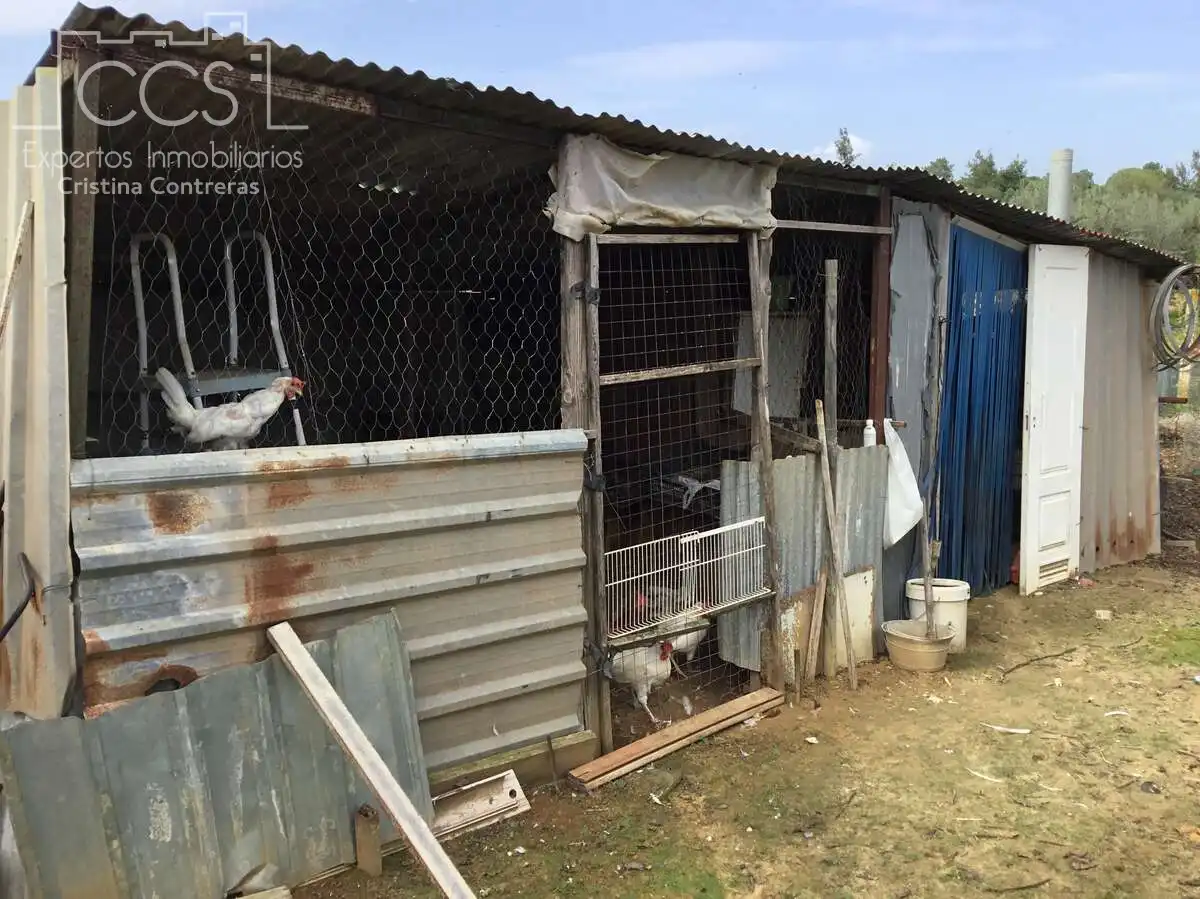 Casa rústica amb piscina en venda a Almonte ciudad, imagen 24