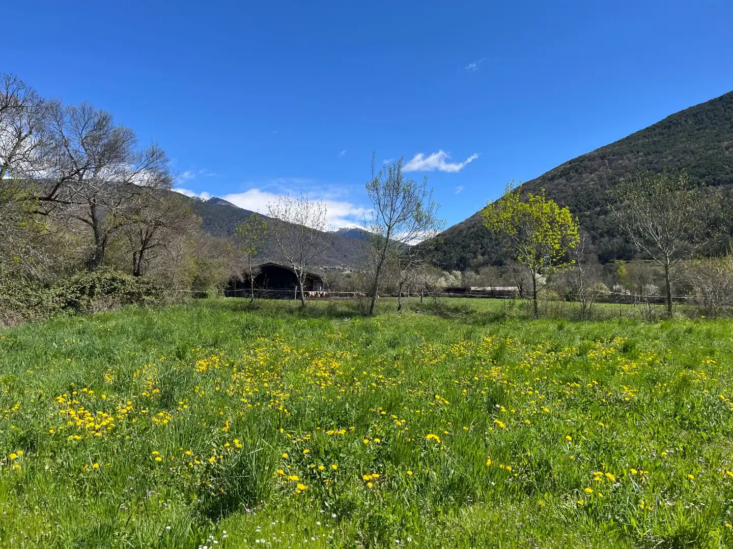 Terreni e lotti in affitto a Camino Santa Bárbara 2, imagen 10