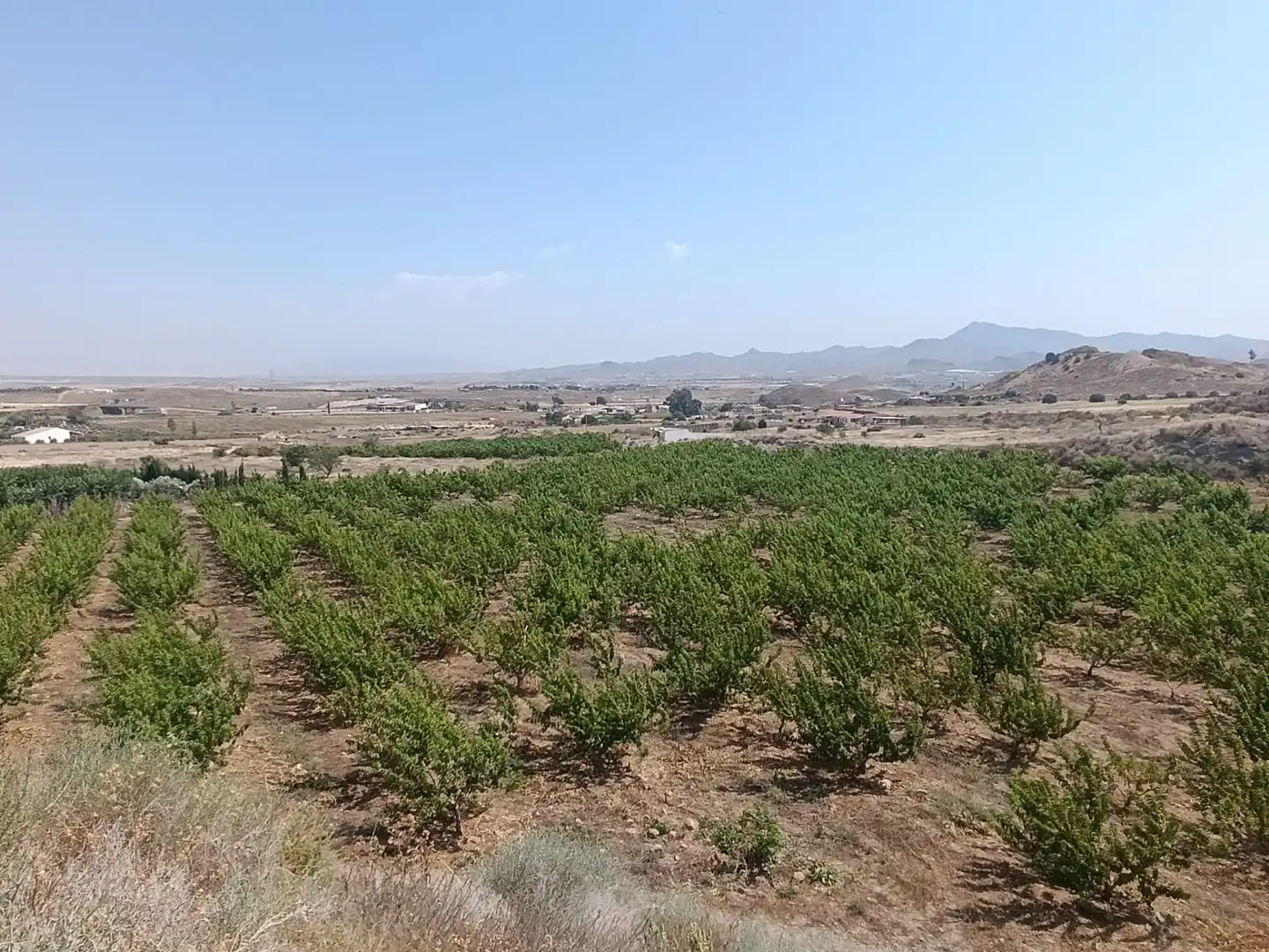 Land for sale in Mazarrón