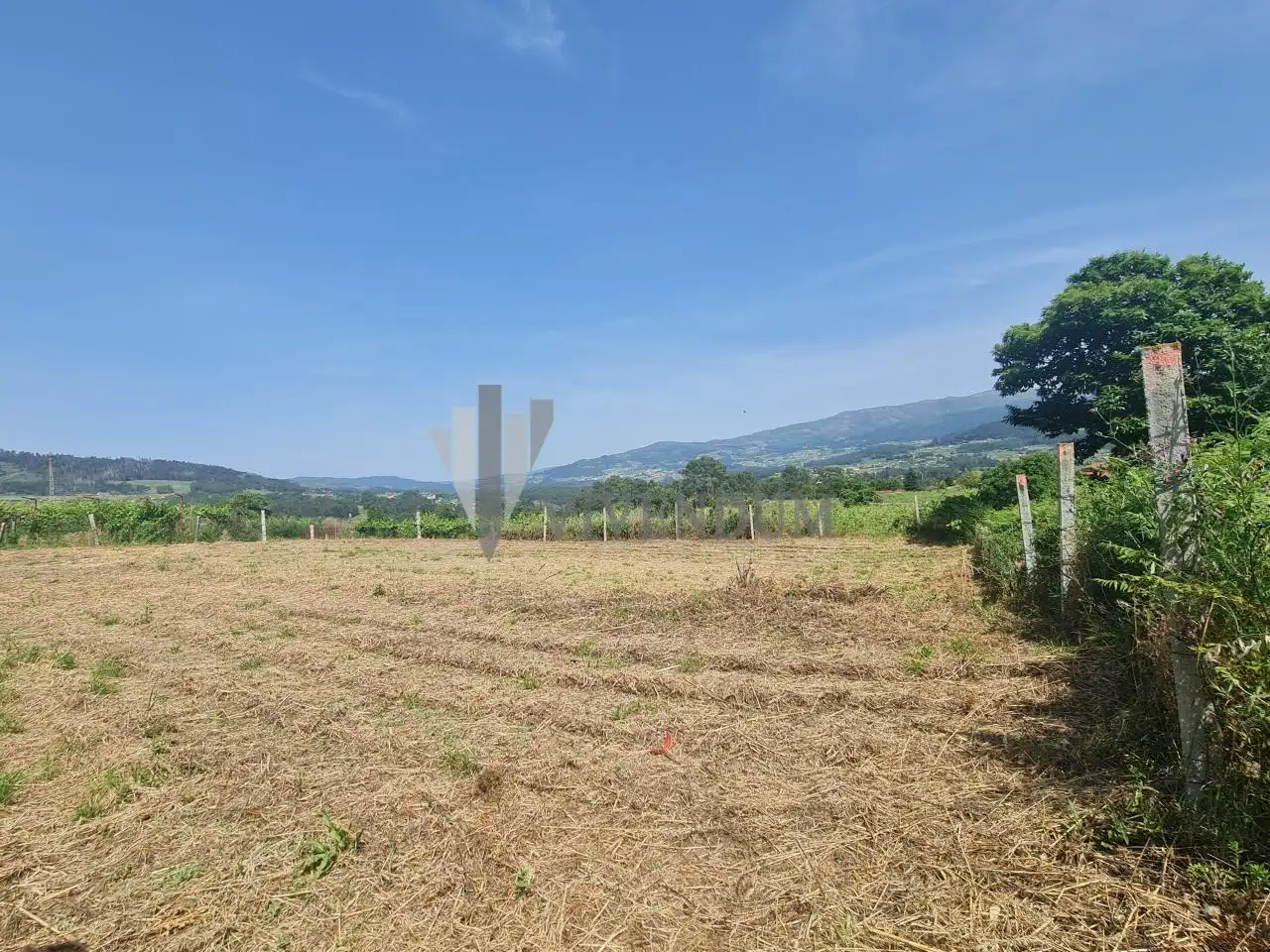 Rural land for sale in Arbo, imagen 10