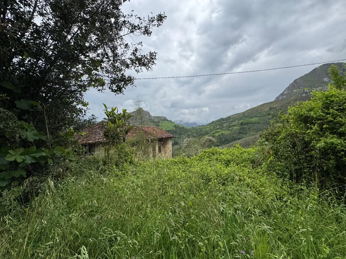 Detached homes for sale in Amieva - PB PEN, 14, Amieva
