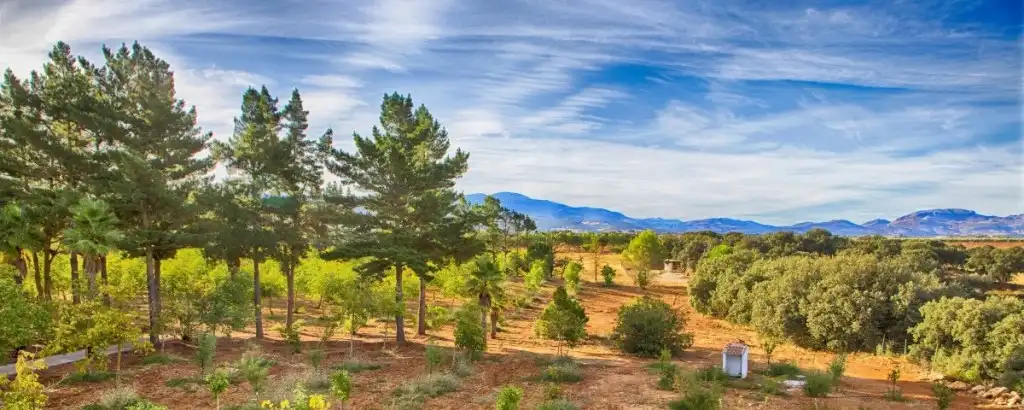 Country homes for sale in Ronda  with Private garden, Terrace and Swimming Pool