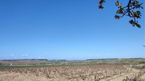 FINCA RÚSTICA - ALBERITE (), immagine 2