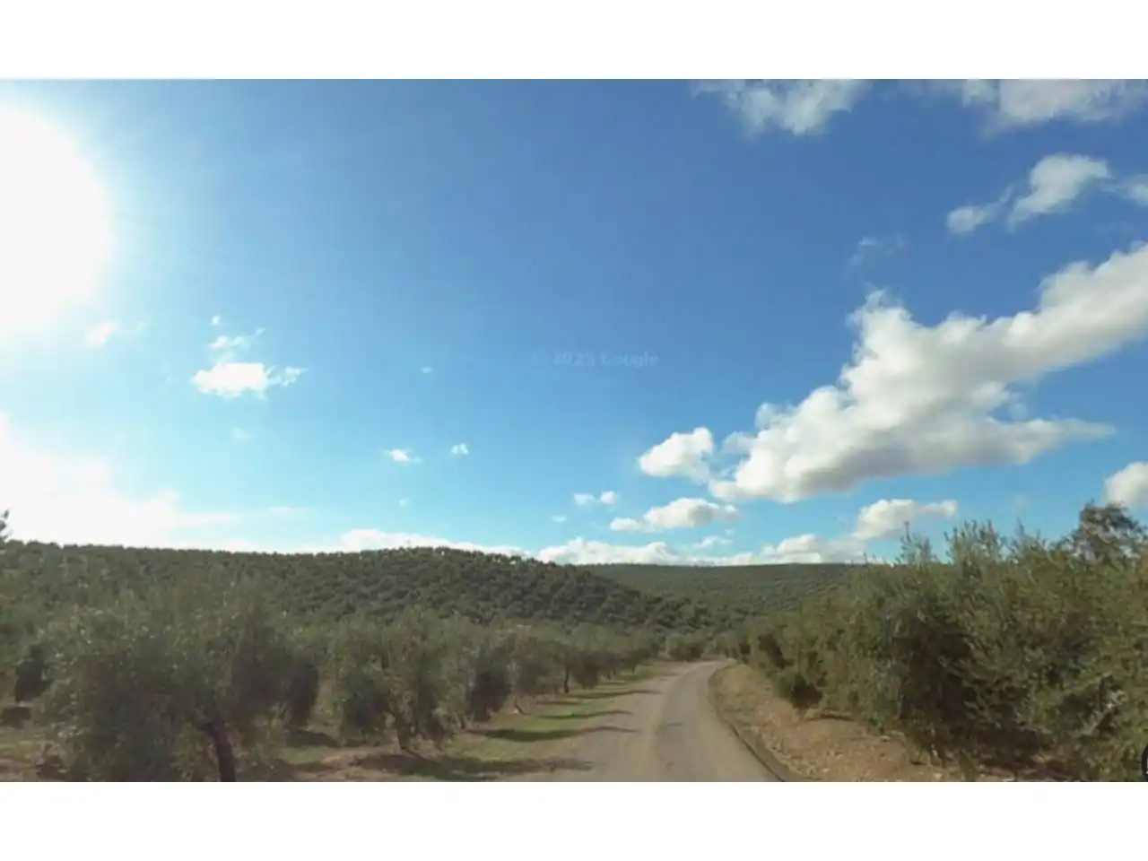 Land for sale in Villatorres