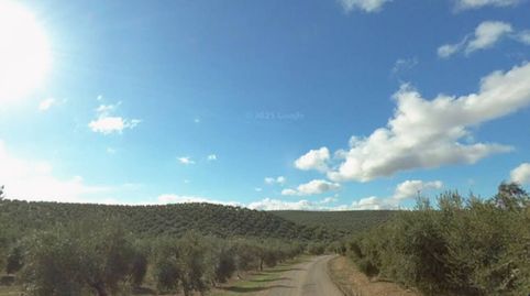 Photo 2 of Land for sale in Camino Brujuelo, Villatorres, Jaén