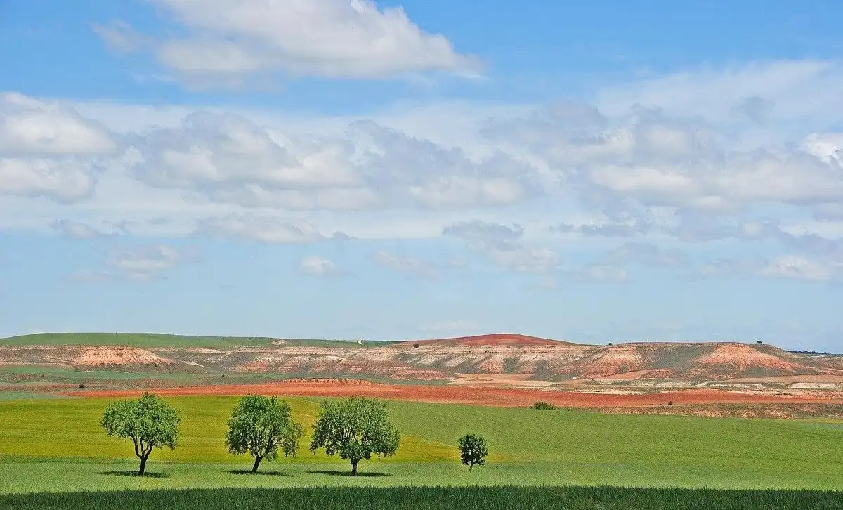 Exterior view of Land for sale in Morón de Almazán