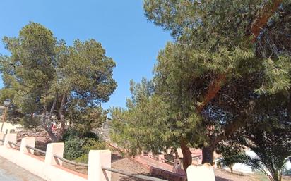 House or chalet for sale in Carrer Rafael Zabaleta, 20, Monóvar  / Monòver