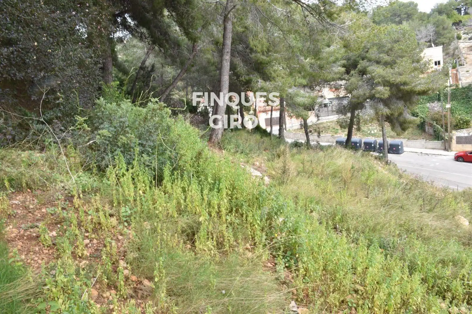 Rural land for sale in GLADIOL, imagen 5