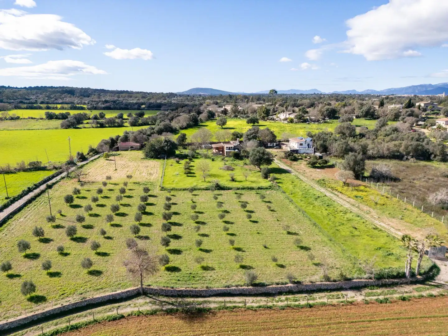 Country house with pool for sale in Polígono Sencelles, imagen 29