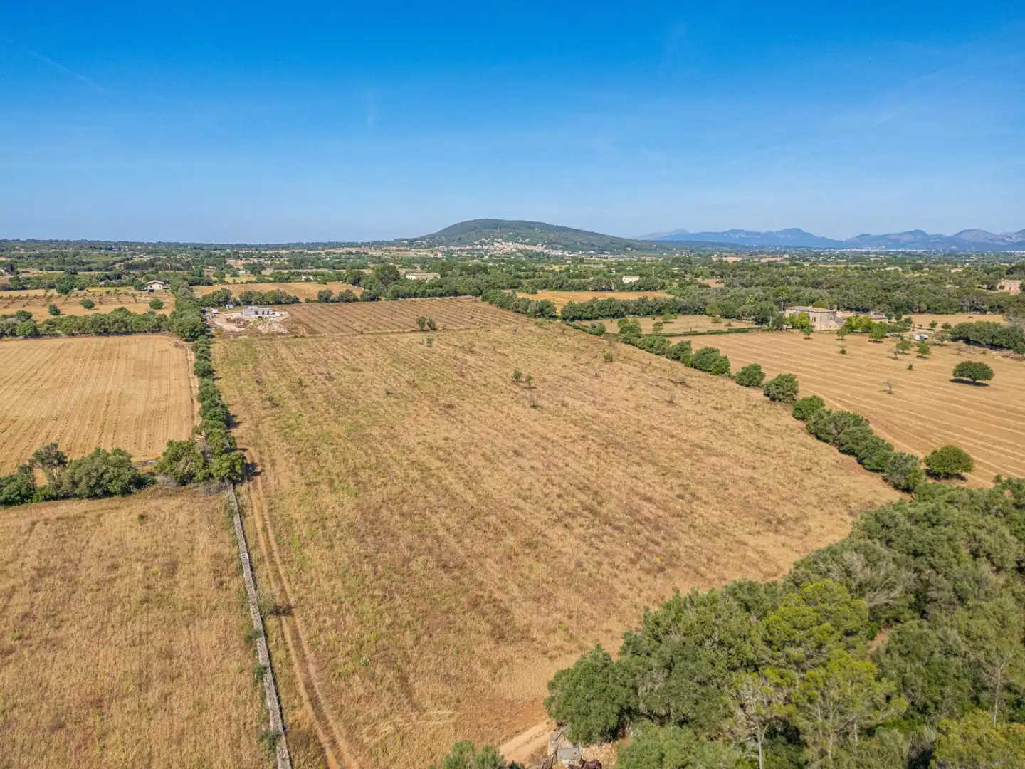 Rural land for sale in Sencelles, imagen 4