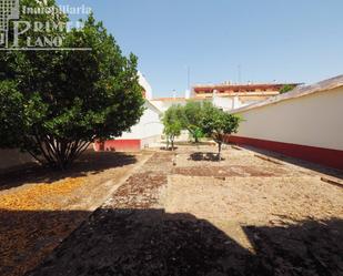 Garden of House or chalet for sale in Socuéllamos  with Heating, Private garden and Terrace