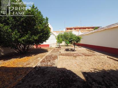 Jardí de Casa o xalet en venda en Socuéllamos amb Calefacció, Jardí privat i Terrassa