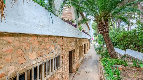 Photo 3 of Premises to rent in Pasaje Timón, Alcossebre, Castellón