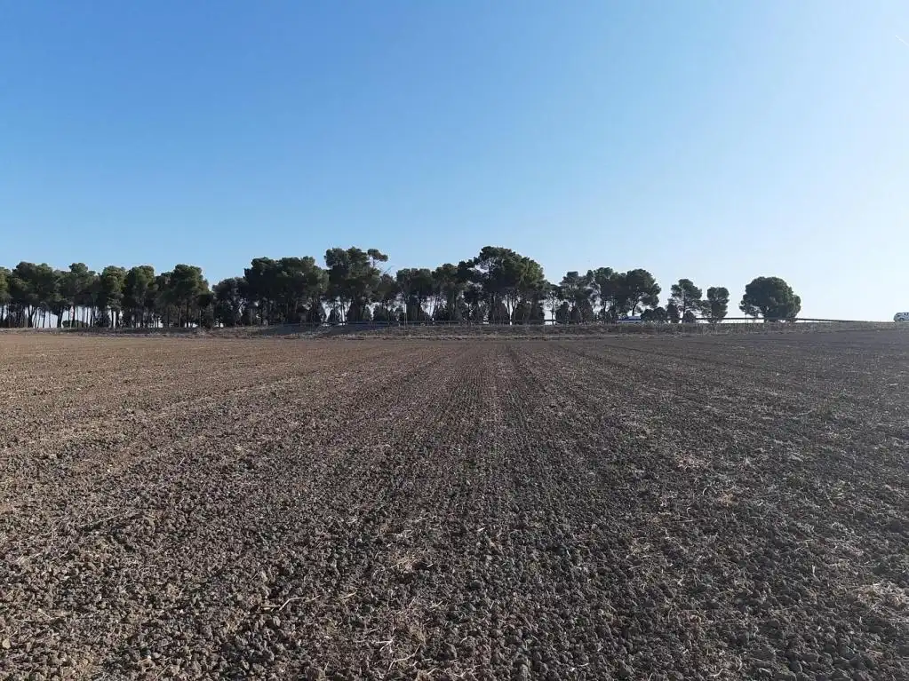 Terreno en venta en Magán