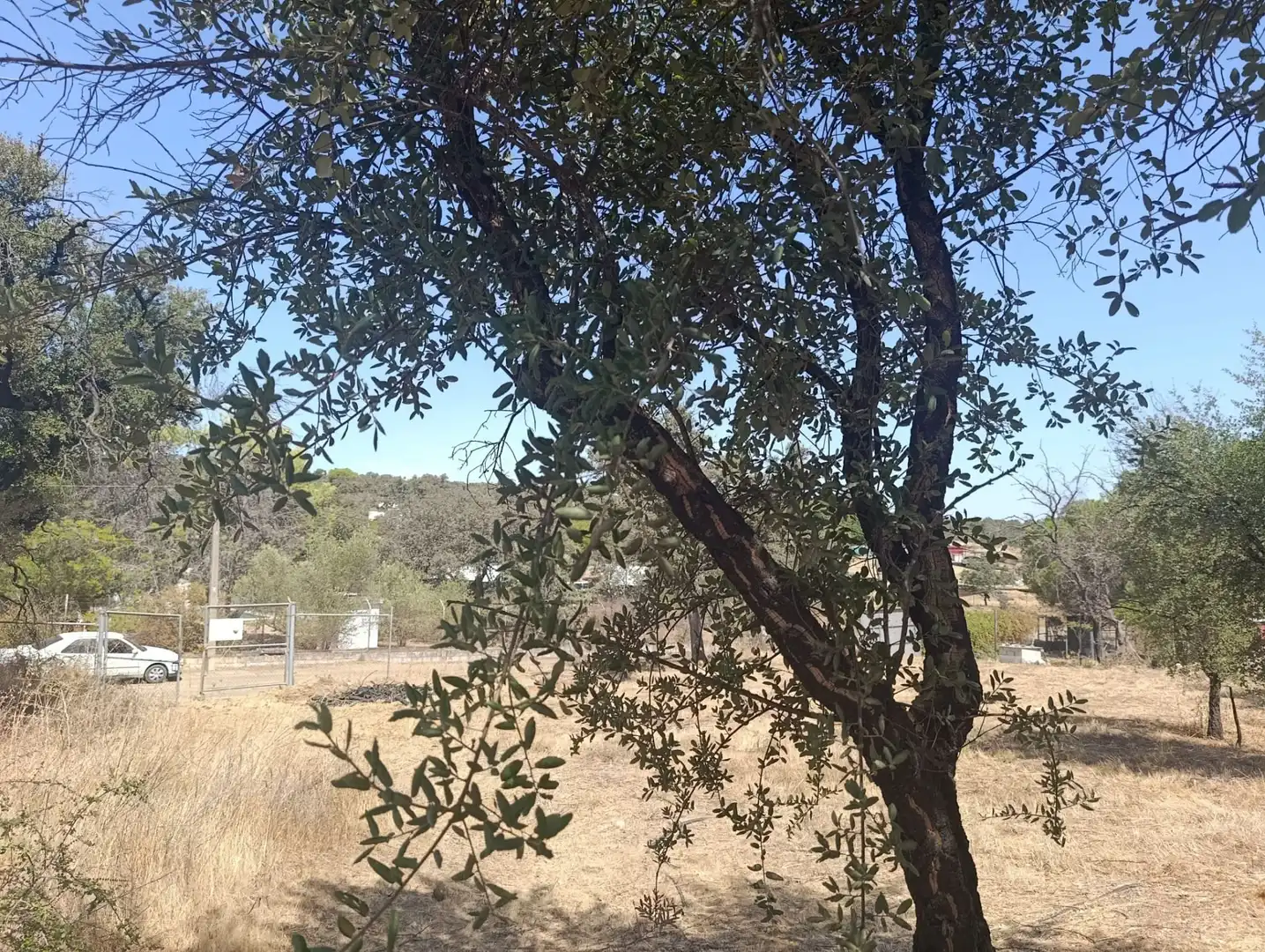 Terreni e lotti in vendita a Castilblanco de los Arroyos, imagen 15