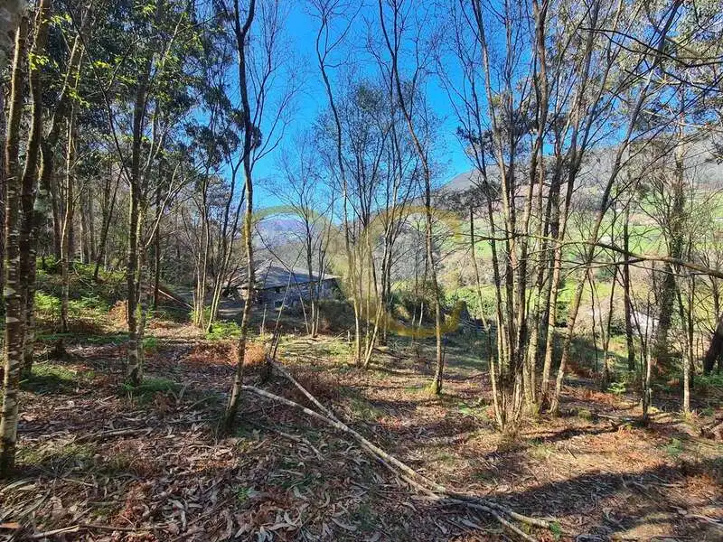 Casa o xalet en venda en Villayón amb Jardí privat